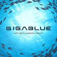 Gigablue