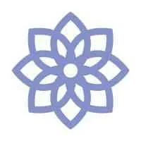 National Hospice and Palliative Care Organization
