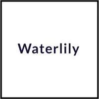 Waterlily