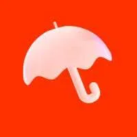 Little Umbrella