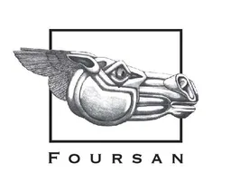 Foursan Group, VC Fund