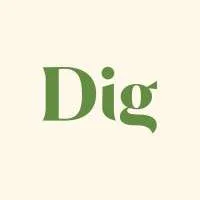 Dig