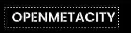 Open Meta City