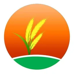 Pasidi Panta