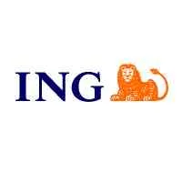 ING Sustainable Investments