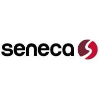 Seneca experts-conseils