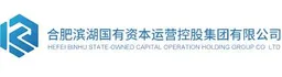 Hefei Binhu State-owned Capital Operation Holding