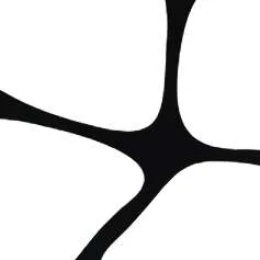 The Biological Computing
