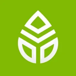Sourgum
