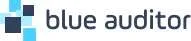 blue auditor GmbH