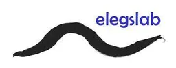 Elexlab
