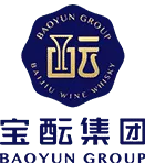 Baoyun Group