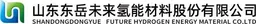 Dongyue Future Hydrogen Energy Materials