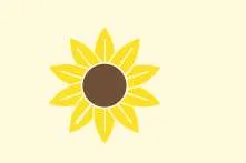 Sunflower Capital, VC Fund