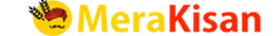 Merakisan
