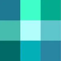 Cyan Ventures
