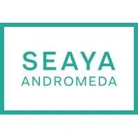 Seaya Andromeda, VC Fund