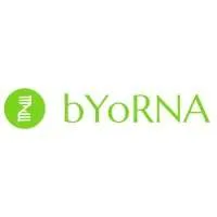 bYoRNA