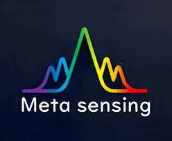 MetaSensing