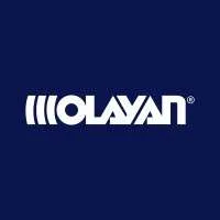 Olayan Financing Company