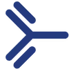 Lifordi Immunotherapeutics