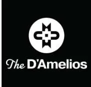 D'Amelio family