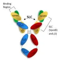 RevOpsis Therapeutics