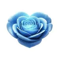 Blue Rose Foundation