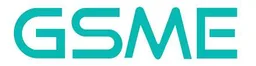 GS Microelectronics
