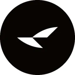 RayNeo