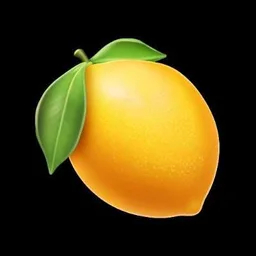 Lemon Slice