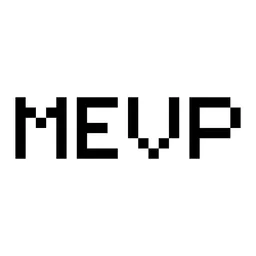 Middle East Venture Partners, VC Fund