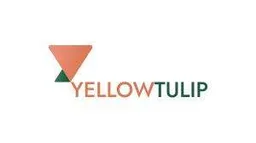 Yellow Tulip