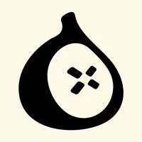 Fig Security