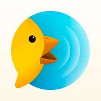 BirdyChat