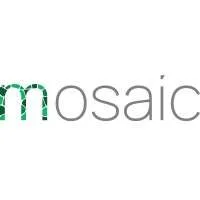 Mosaic-SoC