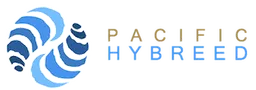 Pacific Hybreed