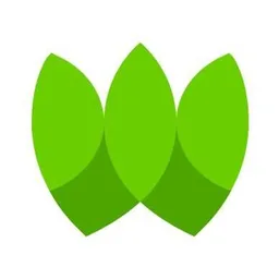 Wio Capital