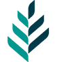 Sage Health