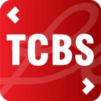 Techcom Securities