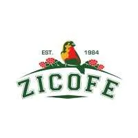 Zigoti