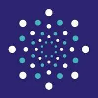 Dendis Capital