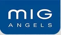 MIG Angels, VC Fund