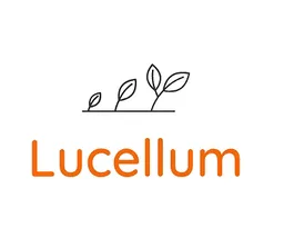 Lucellum