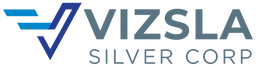 Vizsla Silver