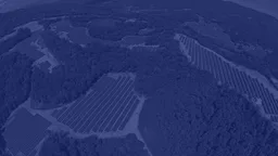 Pacifico Energy Vietnam
