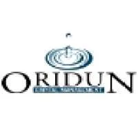 Oridun Capital Management, VC Fund