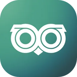 QubitOwl