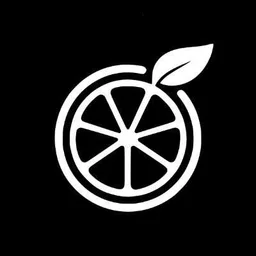 Orange Slice