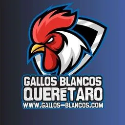 Gallos Blancos